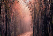 金年会浙江队迎欧篮联关键赛，今晨远射贴柱，更衣室稳定，训练强度明显提升的简单介绍